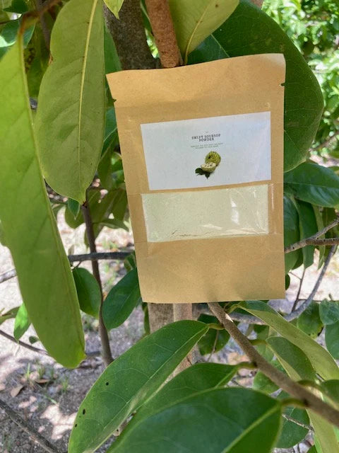 Tickle your taste buds with our superb Soursop Fruit Extract Powder