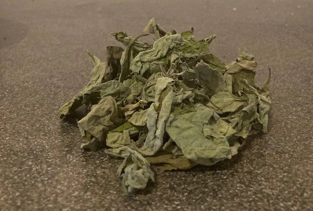 Try our latest addition to our store - Black sage leaves from Swift Soursop