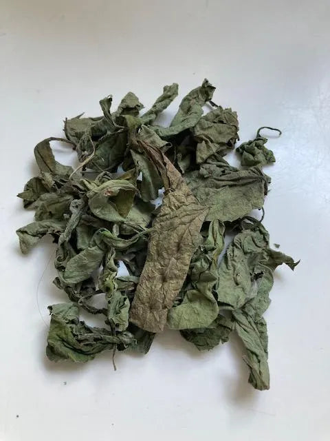Try our new black sage leaves from Swift Soursop